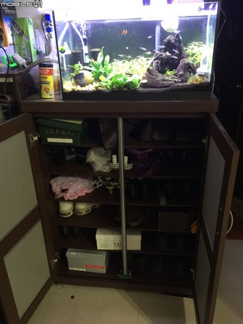 鞋櫃上放植物 魚缸风水